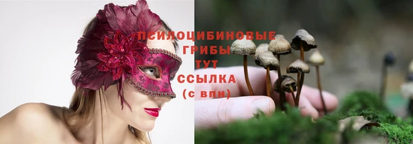 бутират Магас