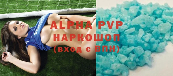 скорость Шали