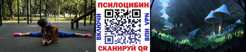 Галлюциногенные грибы Psilocybine cubensis  Тотьма 